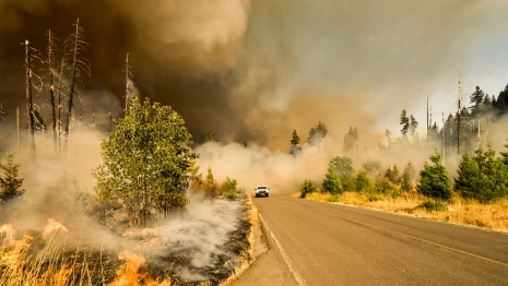 Во Владимирской области площадь горящего торфяника достигла 4 га