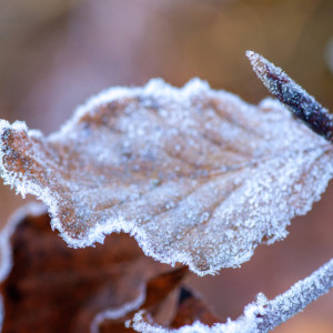 В сентябре во Владимирской области похолодает до 0 градусов