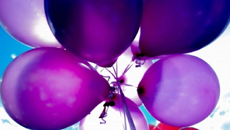 От гонок на собачьих упряжках до вечера Высоцкого. Как провести выходные во Владимире 