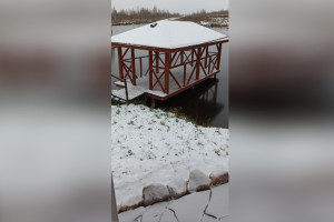 Жителям Владимирской области пообещали снегопад на День народного единства 