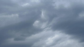 Прогноз погоды во Владимирской области на 5 декабря 2025 года