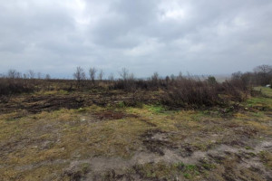 В Гороховецком районе подрядчик по борьбе с борщевиком кинул чиновников не деньги