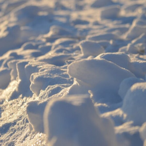 Во Владимире создали резерв из 200 дворников