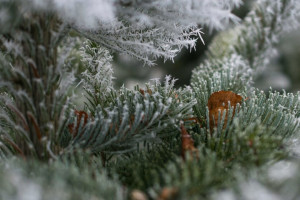 Прогноз погоды во Владимире и области на 2 марта