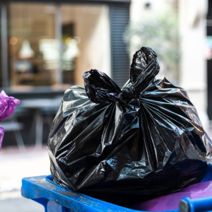 В Кольчугино мусорные контейнеры могли стать причиной загрязнения почвы