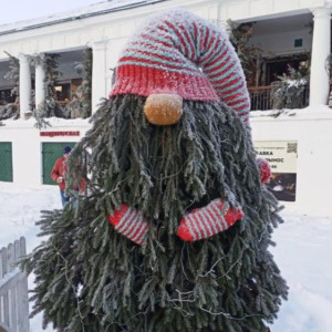 В Суздале после 25 декабря появится «Аллея елок»