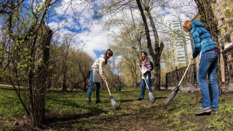Во Владимирской области ликвидировали 17 стихийных свалок за неделю