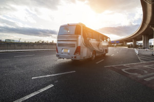Во Владимире задумались над созданием стоянок для туристических автобусов