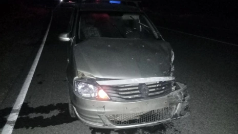 За неделю в ДТП на дорогах Владимирской области погибли 2 и пострадали 52 человека