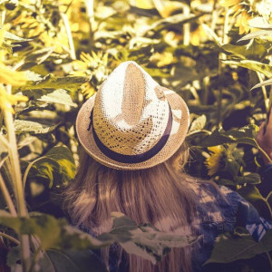 Последний понедельник лета-2022 во Владимирской области принесет 33-градусную жару