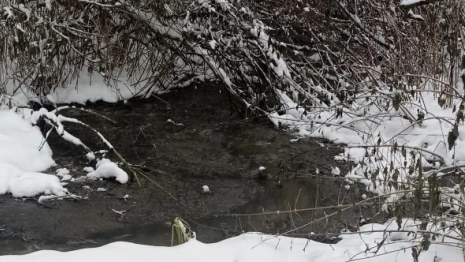 Состояние очистных сооружений в селе под Судогдой обернулось судом