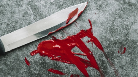 Жительница Владимирской области зарезала мужа из-за спора о прогулке с собакой