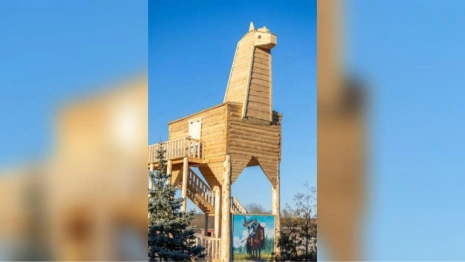 Самый большой арт-объект «Конь» из Владимирской области может попасть в Книгу рекордов