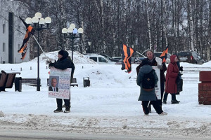 Активисты вышли с плакатами в центр Владимира