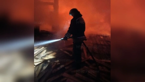 Во Владимирской области мощный пожар охватил деревообрабатывающий цех