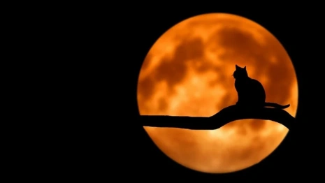 Жители Владимирской области отключат электричество на 60 минут