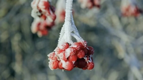 Народные приметы на 4 февраля: что можно и нельзя делать в Тимофеев день