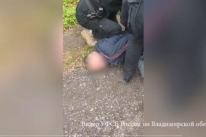 Во Владимире мужчину арестовали за одобрение вторжения ВСУ в Курскую область