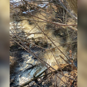 Во Владимире сточные воды загрязнили участки за пивоварней