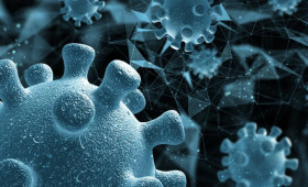 Во Владимирской области заболеваемость коронавирусом снизилась до 18 случаев