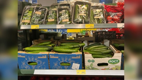 Владимирскую область обошло шокирующее подорожание огурцов