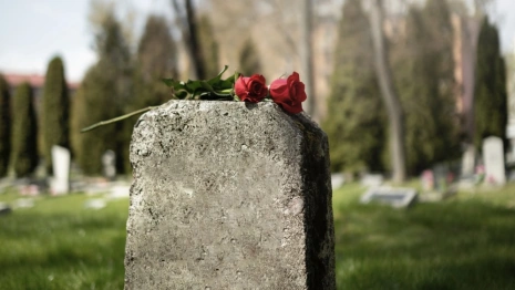 В Юрьев-Польском районе устроили свалки на двух кладбищах