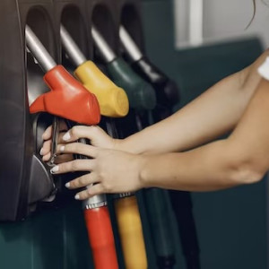 В Госдуме негативно высказались о Владимирской области