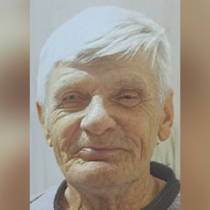 Во Владимирской области пропал 74-летний мужчина с белым ведром 