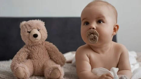 Во Владимирской области родились Луна и Одиссей