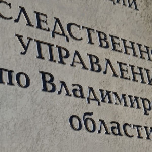 Гибель роженицы во Владимирском перинатальном центре обернулась уголовным делом