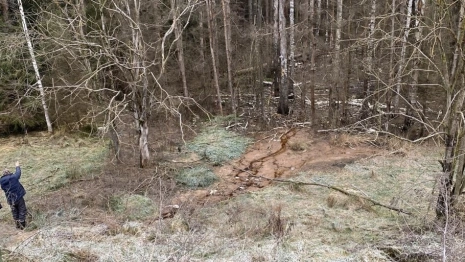 В Камешковском районе свалка загрязняла почву
