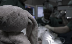 Во Владимирской области 8 детей погибли в ДТП