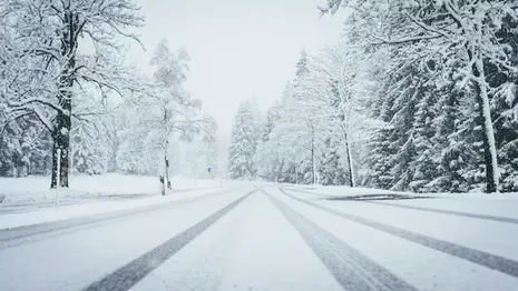 Стали известны даты снегопадов во Владимирской области в феврале