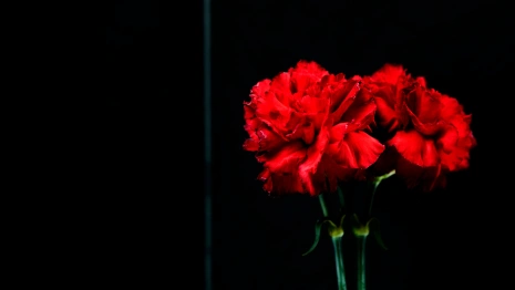 Потери года. Кто из известных владимирцев умер в 2023 году