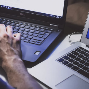 Пенсионеры из Владимирской области стали призерами чемпионата по компьютерному многоборью