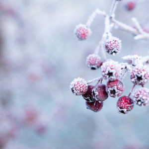 Прогноз погоды во Владимирской области на 28 ноября