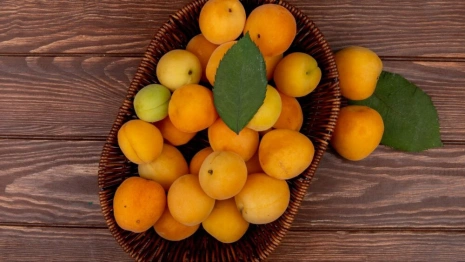 Во Владимире впервые отметят праздник абрикоса
