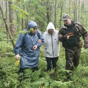 Владимирские волонтеры целые сутки искали 63-летнюю пропавшую в лесу женщину