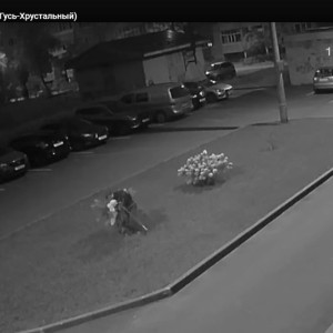 В Гусь-Хрустальном местный Ромео под камерами сорвал для подруги цветы с клумбы