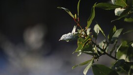 Синоптики пообещали теплое начало весны во Владимирской области