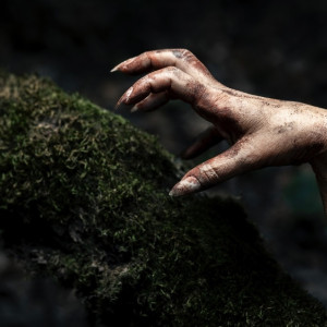 Москвич обнаружил разложившийся труп жены в Гусь-Хрустальном