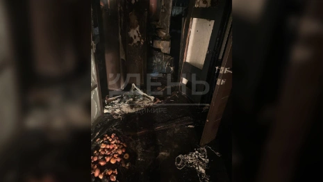 Во Владимирской области из-за пожара семья осталась без дома