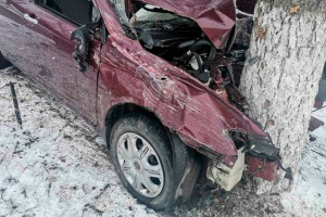 Водитель Lifan врезался в дерево в центре Коврова: пострадал ребенок