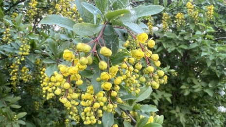 Высокая пожарная опасность сохранится во Владимирской области до 30 мая