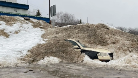 Во Владимире разработают схему борьбы с автохламом