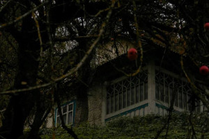 Во Владимирской области нашли 309 заброшек