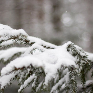 Прогноз погоды во Владимире и области на 5 марта