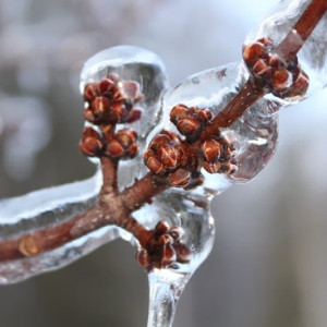 В октябре на Владимирскую область могут обрушиться ледяные ливни