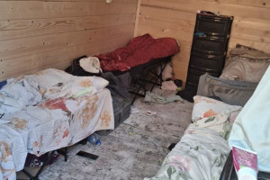 Во Владимирской области детский лагерь с занятиями по верховой езде закрыли на 45 дней