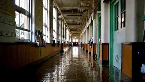 Во Владимире подготовка школ к учебному году обошлась в 115 млн